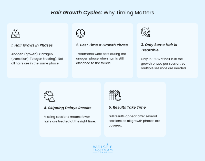 hair-growth-cycle-infographic