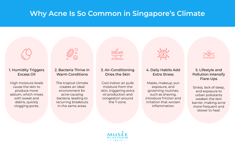 Infographic on why acne is common in Singapore's climate